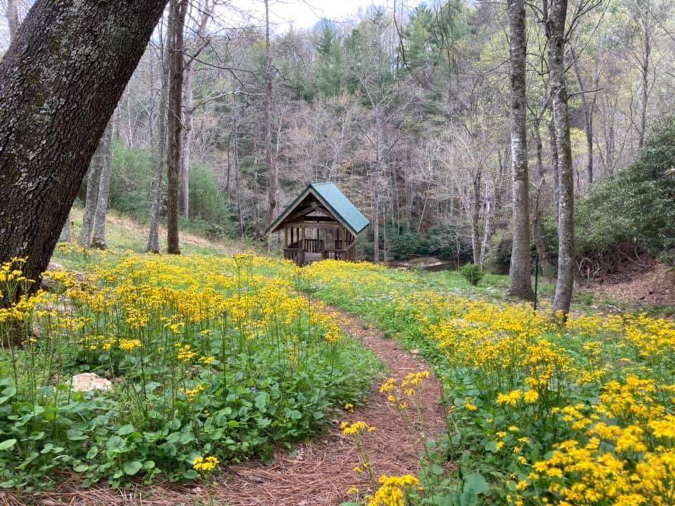 Little River Cabin Sparta المظهر الخارجي الصورة