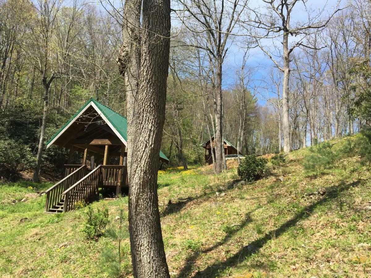 Little River Cabin Sparta المظهر الخارجي الصورة